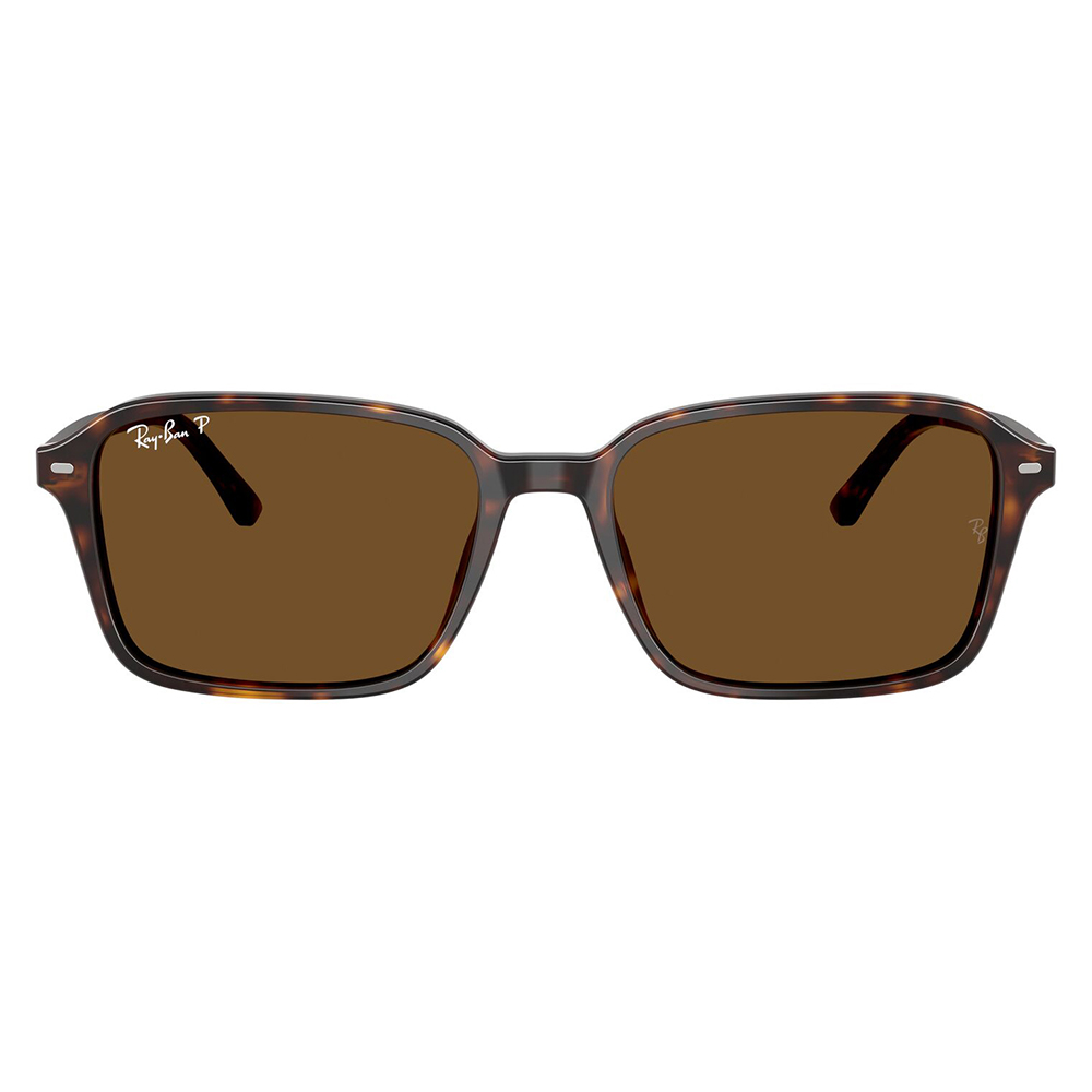 Ray-Ban レイバン サングラス RB2231F 902/57 56 スクエア セル