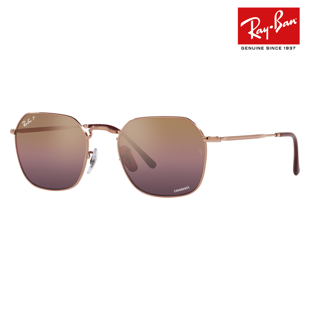 Ray-Ban（レイバン） サングラス 純正レンズ対応 RB3694 9202G9 53 55