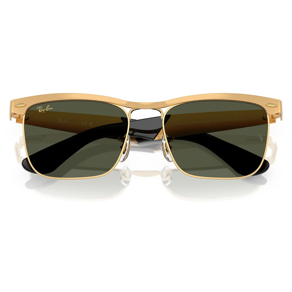 Ray-Ban（レイバン） サングラス 純正レンズ対応 RB3875 927633 53 56
