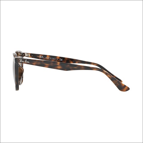 Ray-Ban レイバン サングラス 純正レンズ対応 RB4258F 710/73 52