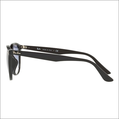 Ray-Ban レイバン サングラス 純正レンズ対応 RB4259F 601/19 53