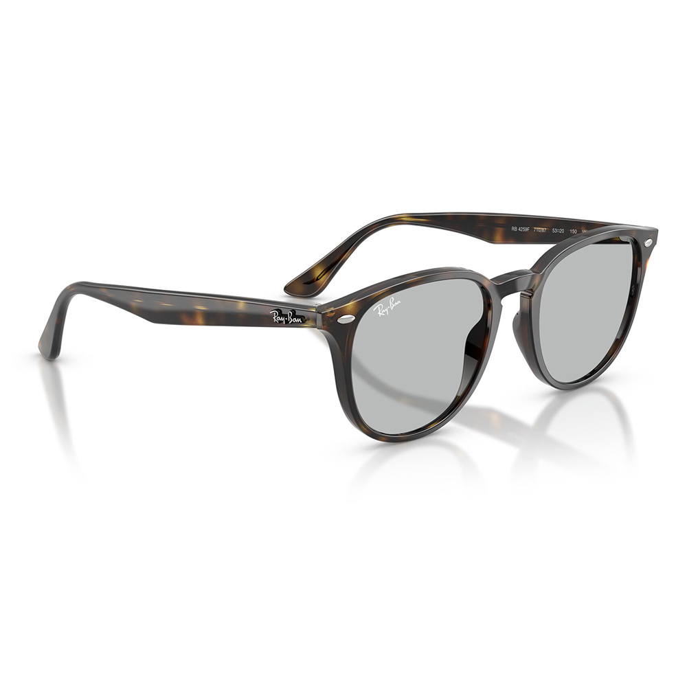 専用　度付きRB4259F-SUNGY-50 Ray-Ban（レイバン） サングラス 純正レンズ対応 RB4259F 710/87 50 53