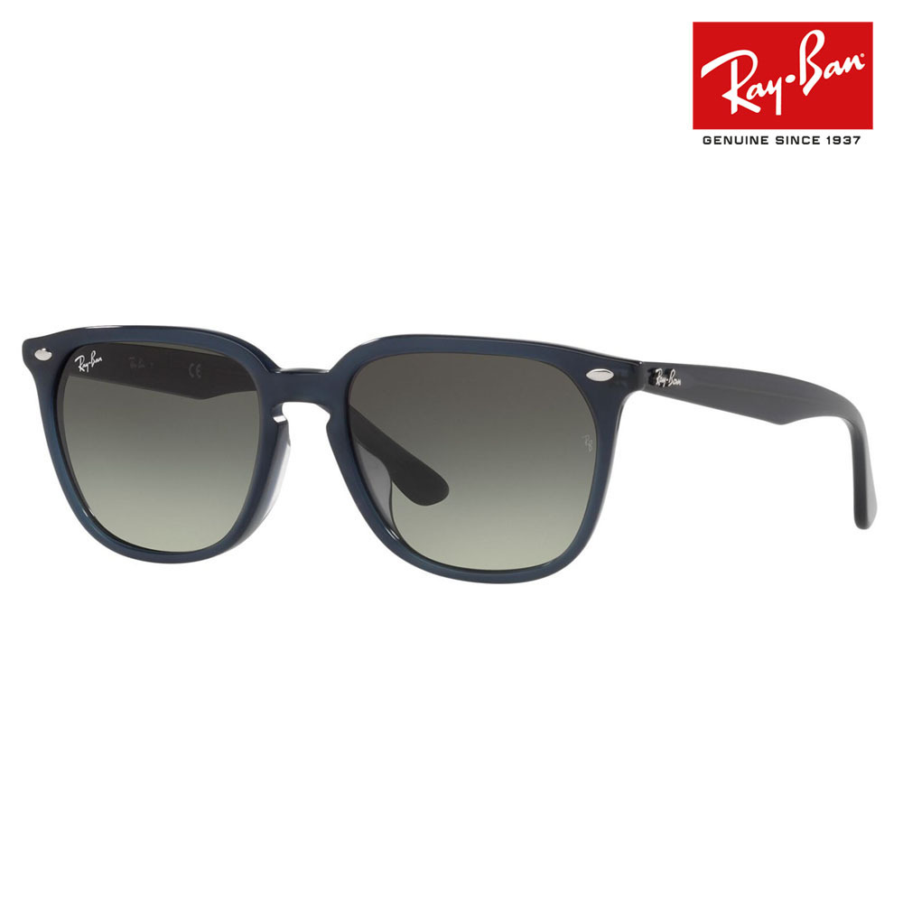 Ray-Ban レイバン サングラス 純正レンズ対応 RB4362F 134611 55
