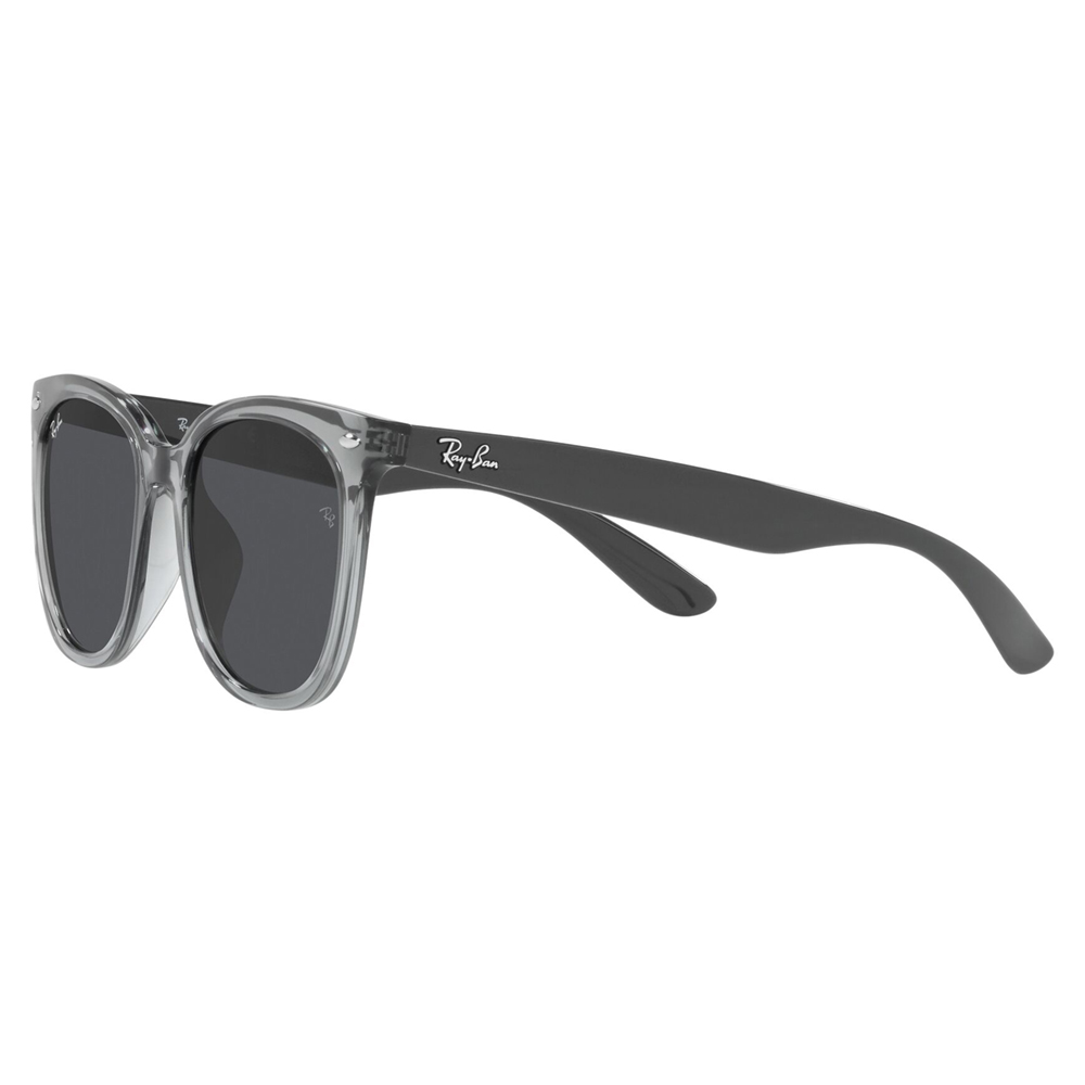 Ray-Ban レイバン サングラス 純正レンズ対応 RB4379D 659987 55