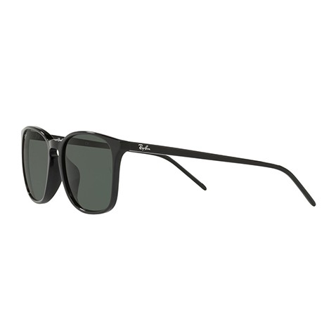 Ray-Ban レイバン サングラス 純正レンズ対応 RB4387F 901/71 55