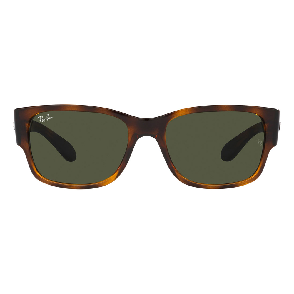 Ray-Ban（レイバン） サングラス 純正レンズ対応 RB4388 710/31 55 58