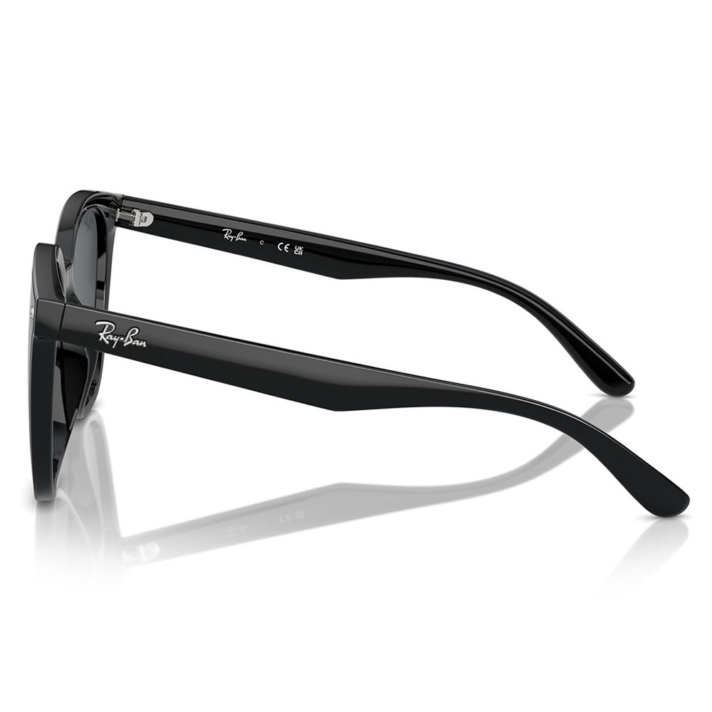 Ray-Ban（レイバン） サングラス RB4423D 601/87 66 Ray-Ban アジアン