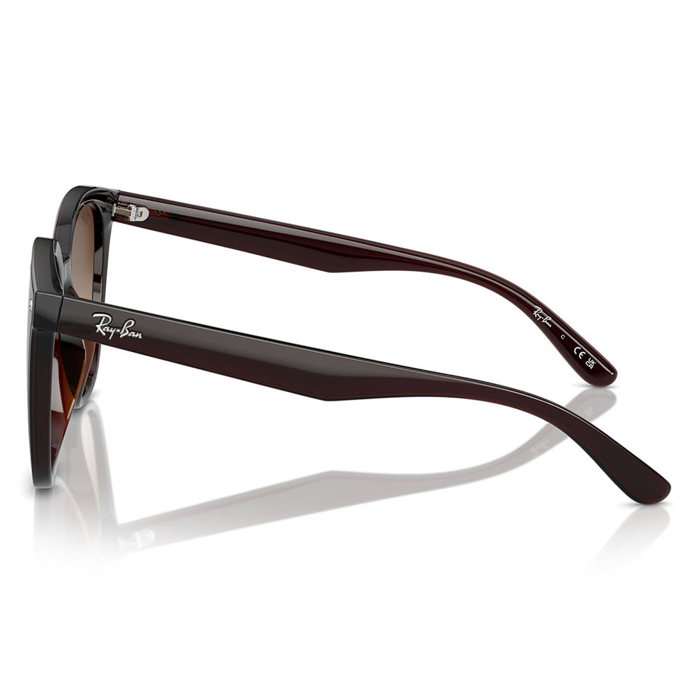 Ray-Ban レイバン サングラス 純正レンズ対応 RB4423D 714/13 66