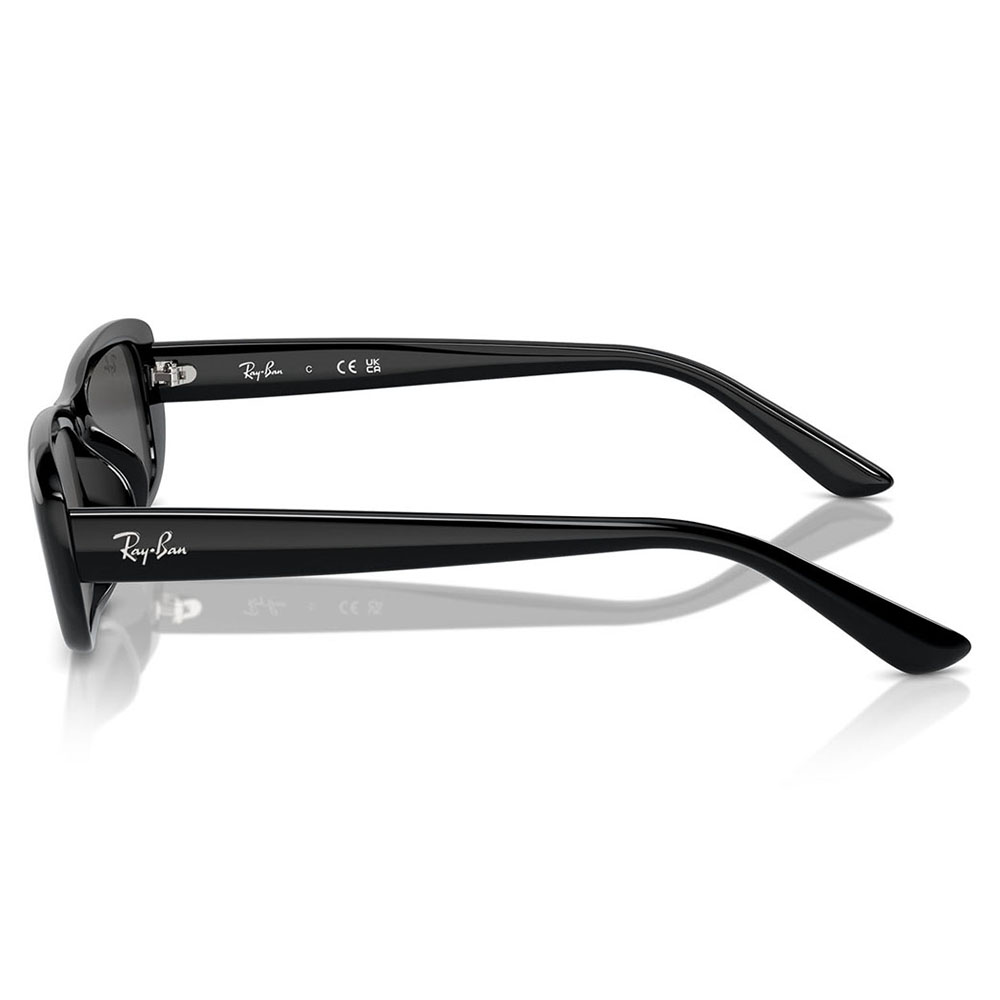 Ray-Ban レイバン サングラス 純正レンズ対応 RB4436D 667787 55