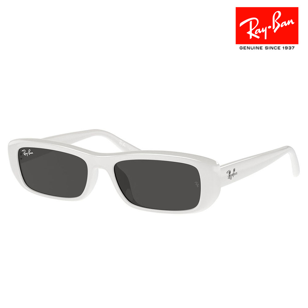 Ray-Ban レイバン サングラス 純正レンズ対応 RB4436D 677287 55