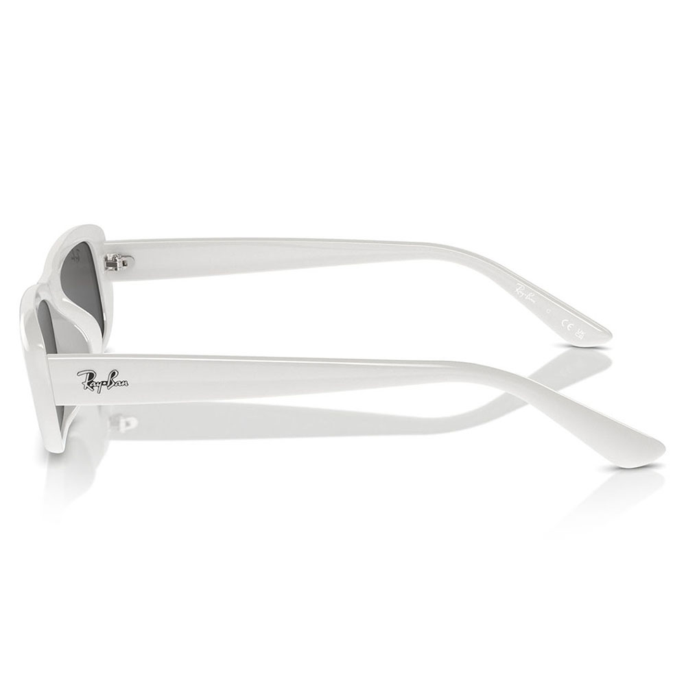レイバンサングラス （ケース付　タグ付き　外箱つき） ☆送料無料☆RayBan RB4423D 601/87 (Ray Ban/サングラス