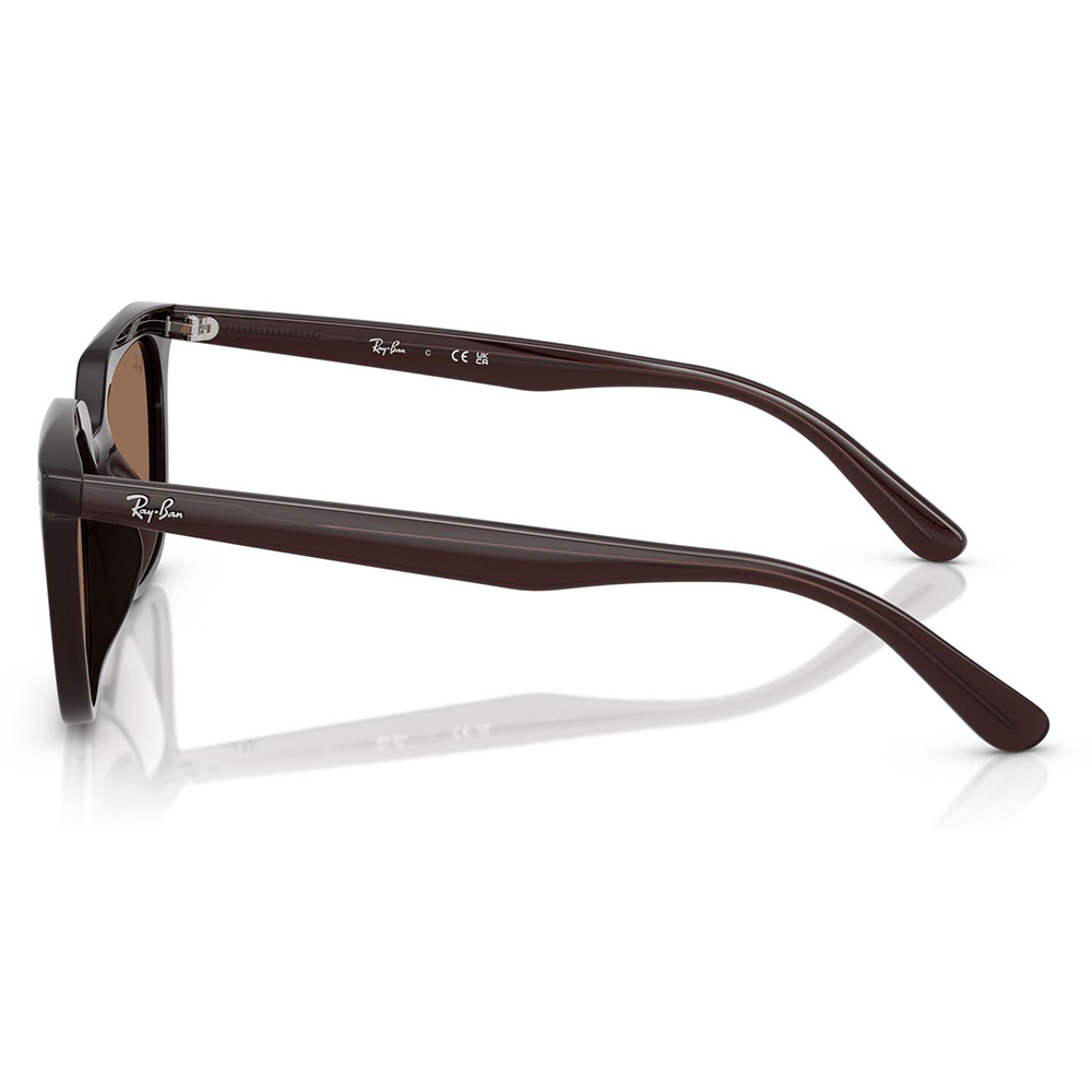 ワ*ア様 レイバンサングラス　RB4439D 新品未使用 Ray-Ban（レイバン） 正規保証書(押印)付 Ray-Ban 4439D ( Low Bridge