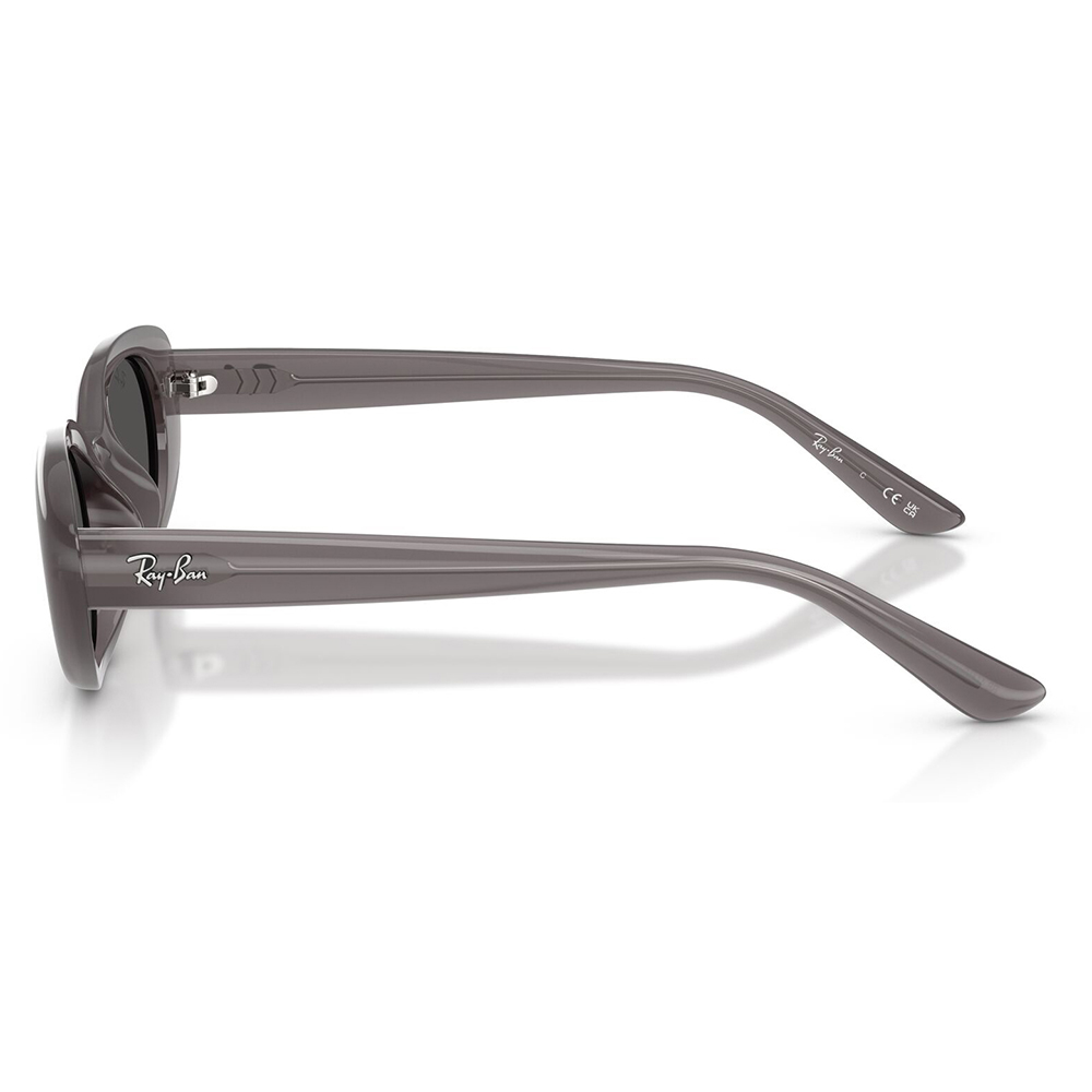 Ray-Ban（レイバン） サングラス RB4441D 677787 53 Ray-Ban オーバル