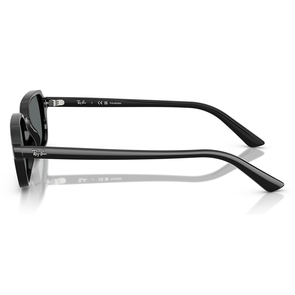 Ray-Ban（レイバン） サングラス 純正レンズ対応 RB4455F 667781 51