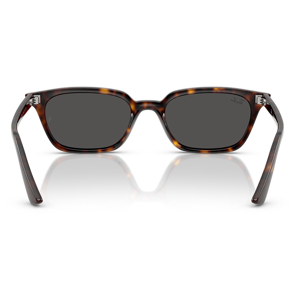 Ray-Ban（レイバン） サングラス 純正レンズ対応 RB4456F 135987 52