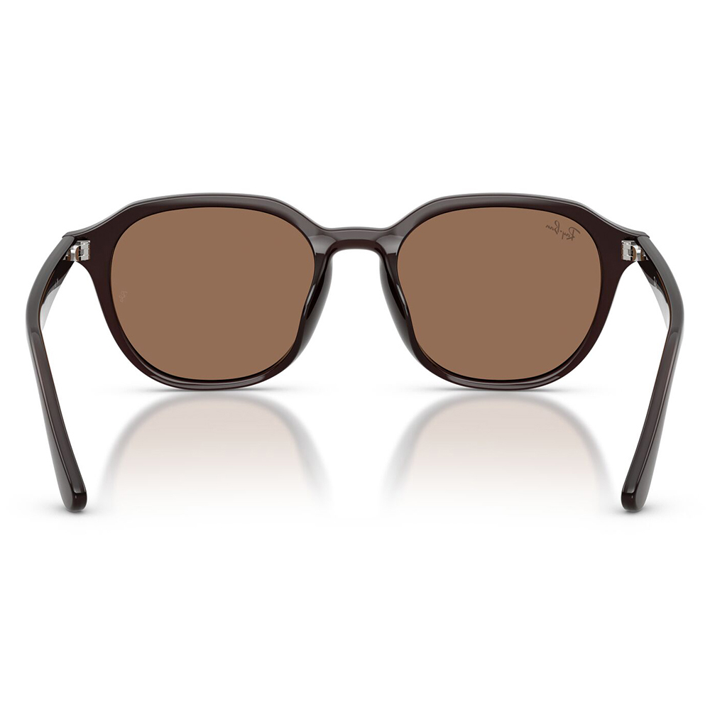 Ray-Ban（レイバン） サングラス 純正レンズ対応 RB4459D 623173 54