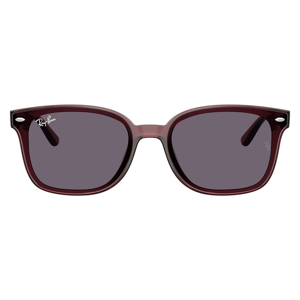 Ray-Ban（レイバン） サングラス 純正レンズ対応 RB4461D 659373 64