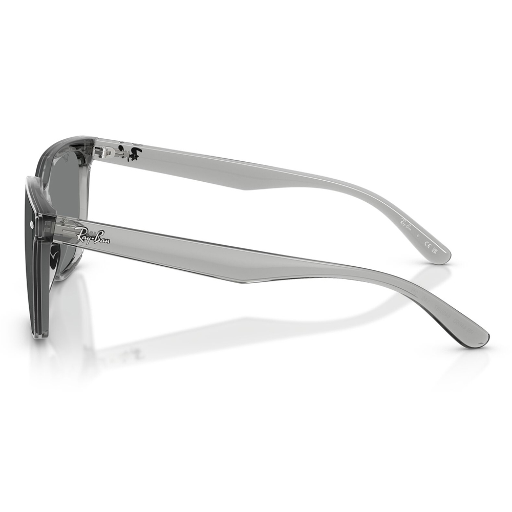 Ray-Ban（レイバン） サングラス 純正レンズ対応 RB4466D 645087 47