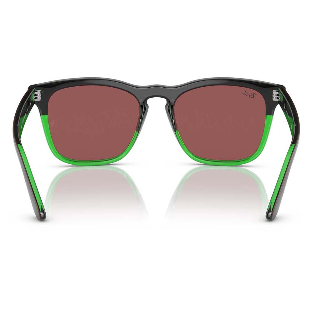 Ray-Ban（レイバン） サングラス 純正レンズ対応 RB4487F 663469 54