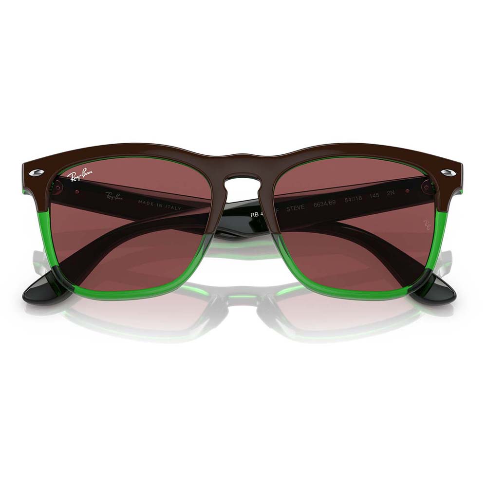 Ray-Ban（レイバン） サングラス 純正レンズ対応 RB4487F 663469 54