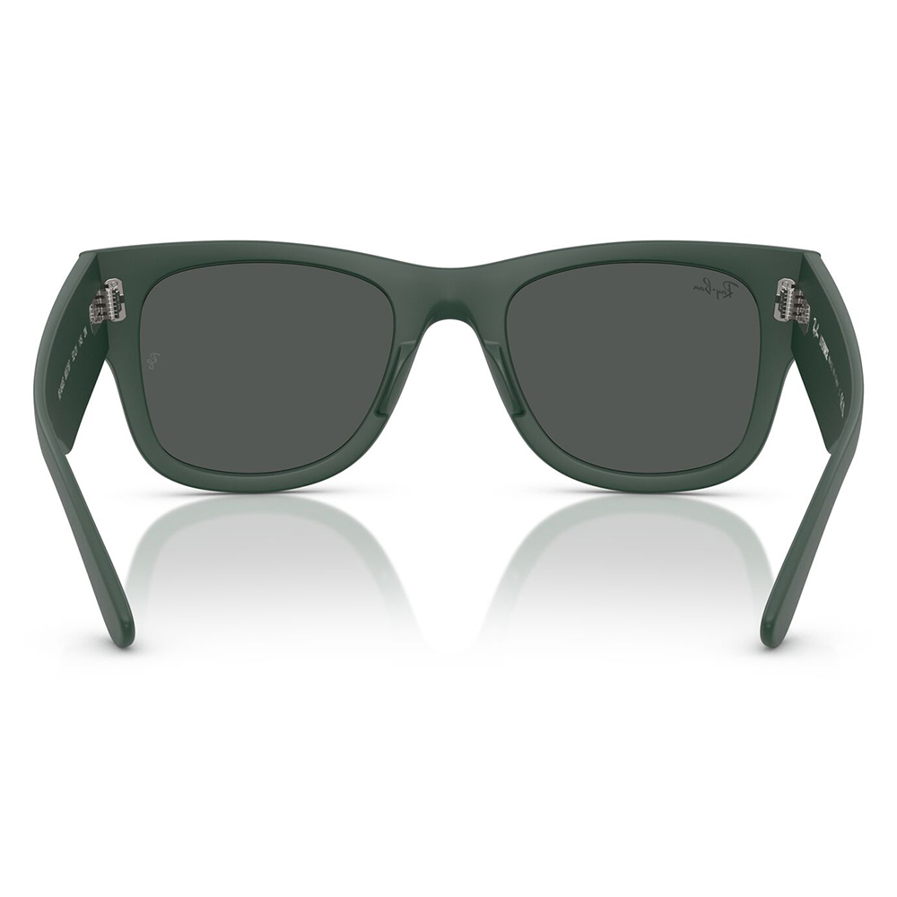 レイバン サングラス 純正レンズ対応 RB4840S 665787 50 52 Ray-Ban MEGA WAYFARER LITEFORCE メガウェイファーラー セルの画像