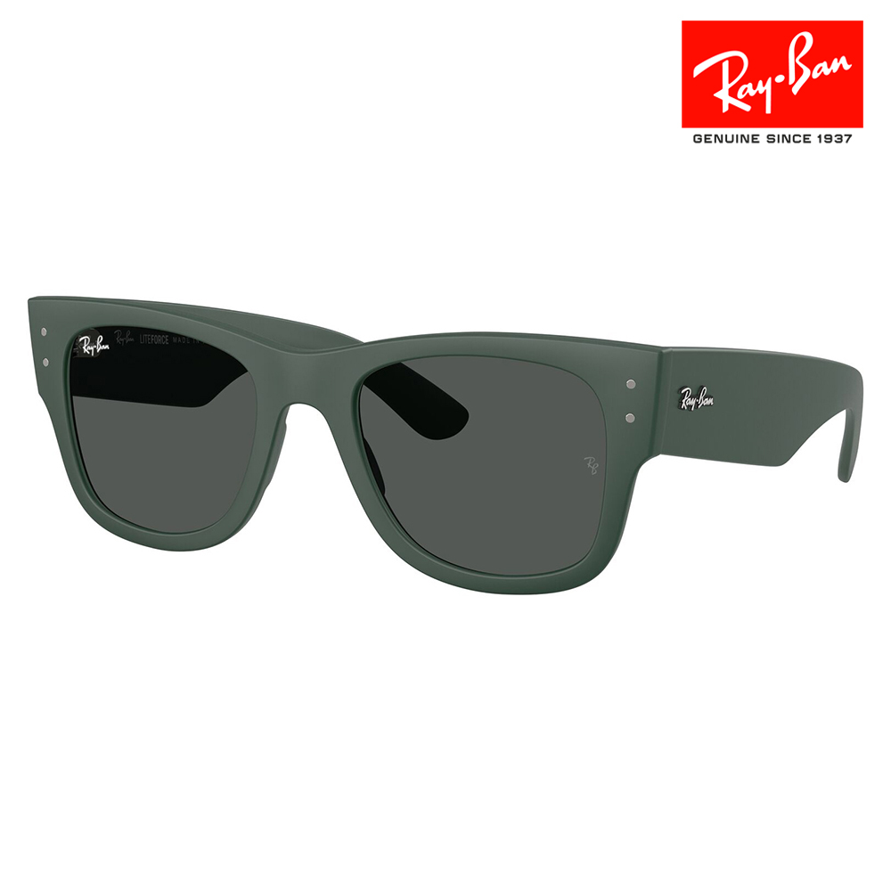 Ray-Ban レイバン サングラス 純正レンズ対応 RB4840S 665787 50