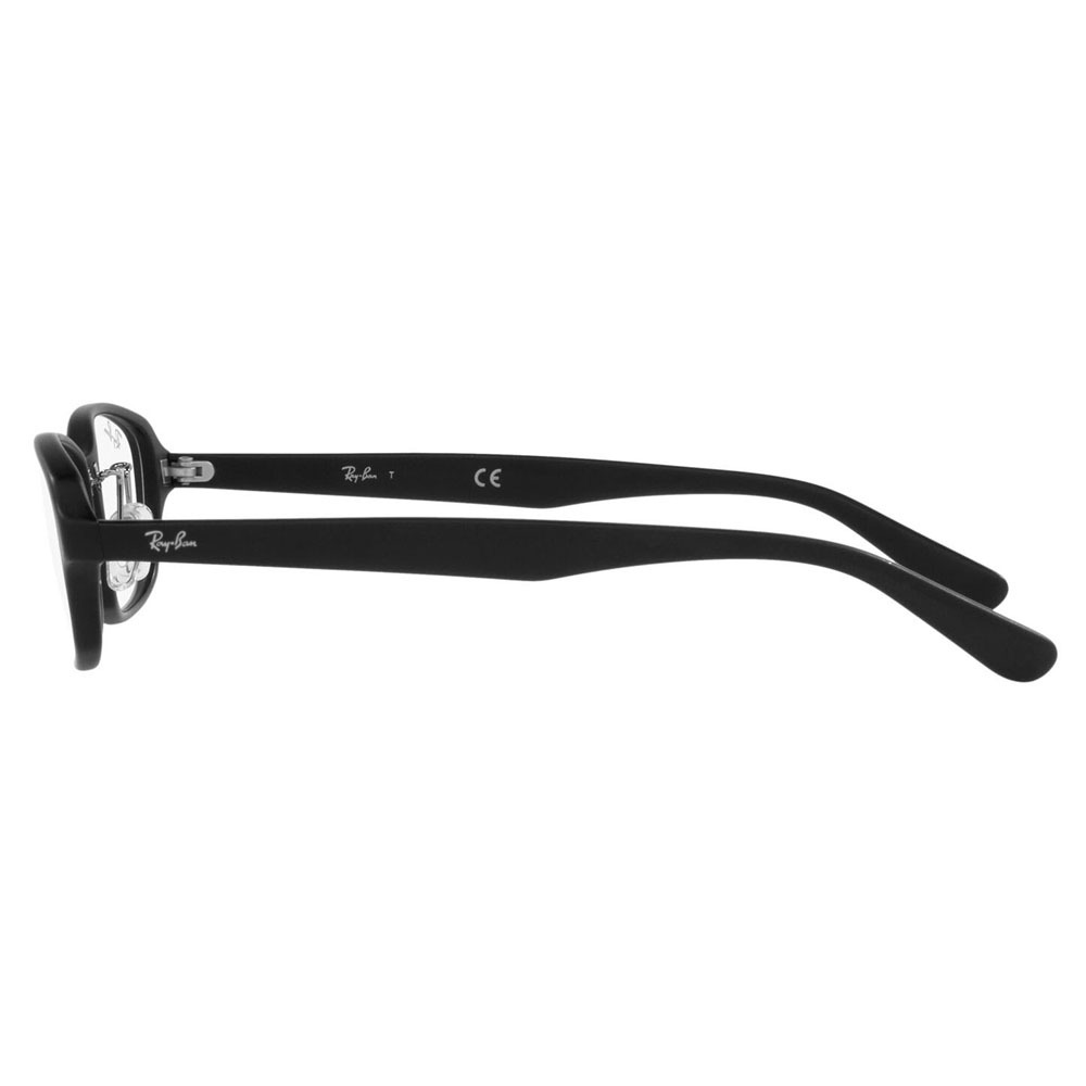 レイバン公式ストア】メガネ＆フレーム | Ray-Ban® JP