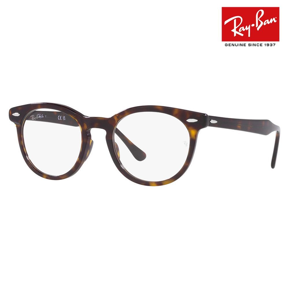 レイバン Ray-Ban RayBan RX5598F 2012 51 メガネ フレーム 純正レンズ対応 Eagle Eye イーグルアイ ラウンド ボストン クラシック 伊達メガネ 眼鏡