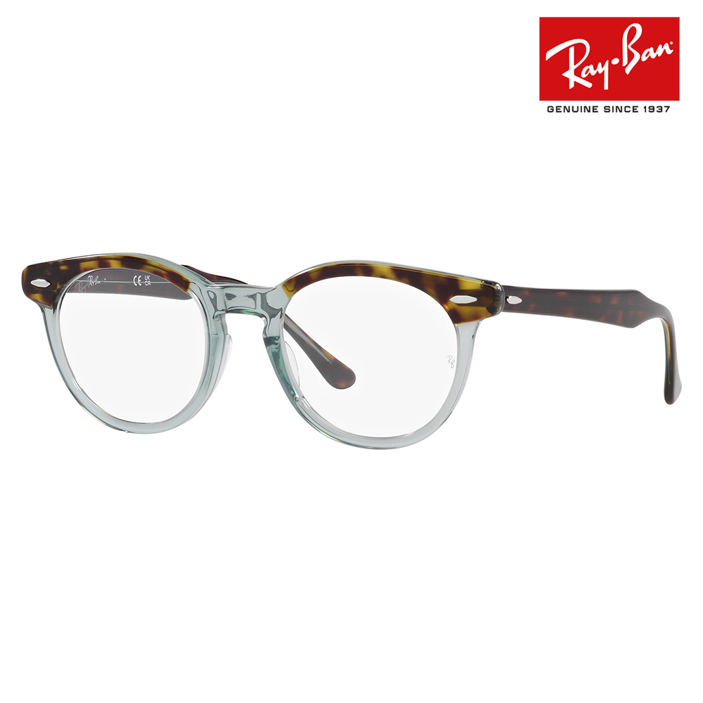 レイバン Ray-Ban RayBan RX5598F 8249 51 メガネ フレーム 純正レンズ対応 Eagle Eye イーグルアイ ラウンド  ボストン クラシック 伊達メガネ 眼鏡