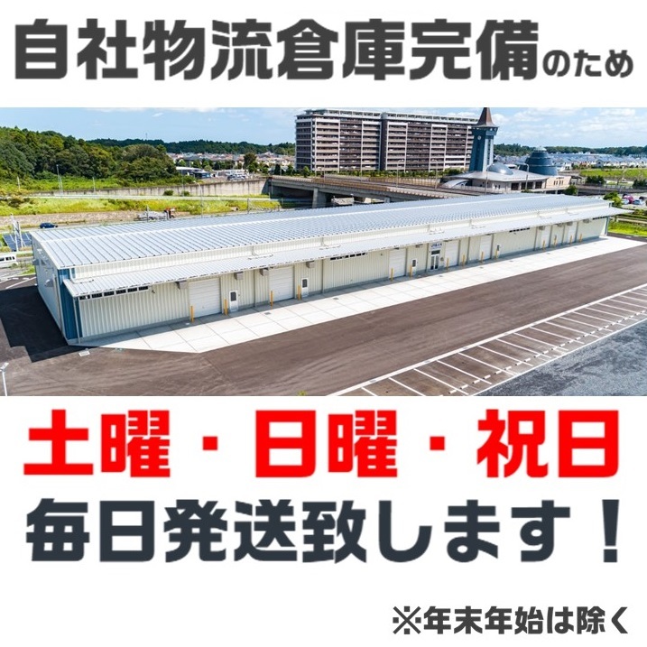 認定補聴器技能者監修 充電式耳あな型集音器 みみサポアクティブ