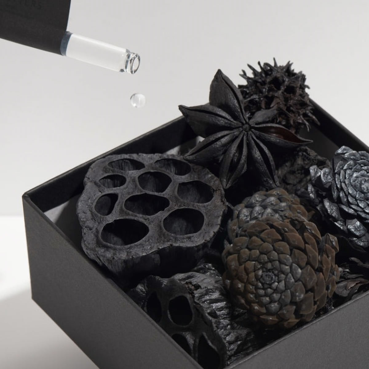 アロマチャコール 花炭 ブラックレターズ BLACKLETTERS 自然の