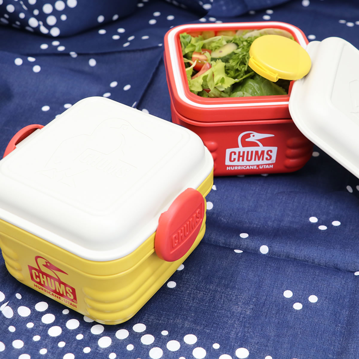 CHUMS（チャムス） ランチボックス フードコンテナ Sサイズ 2段 電子