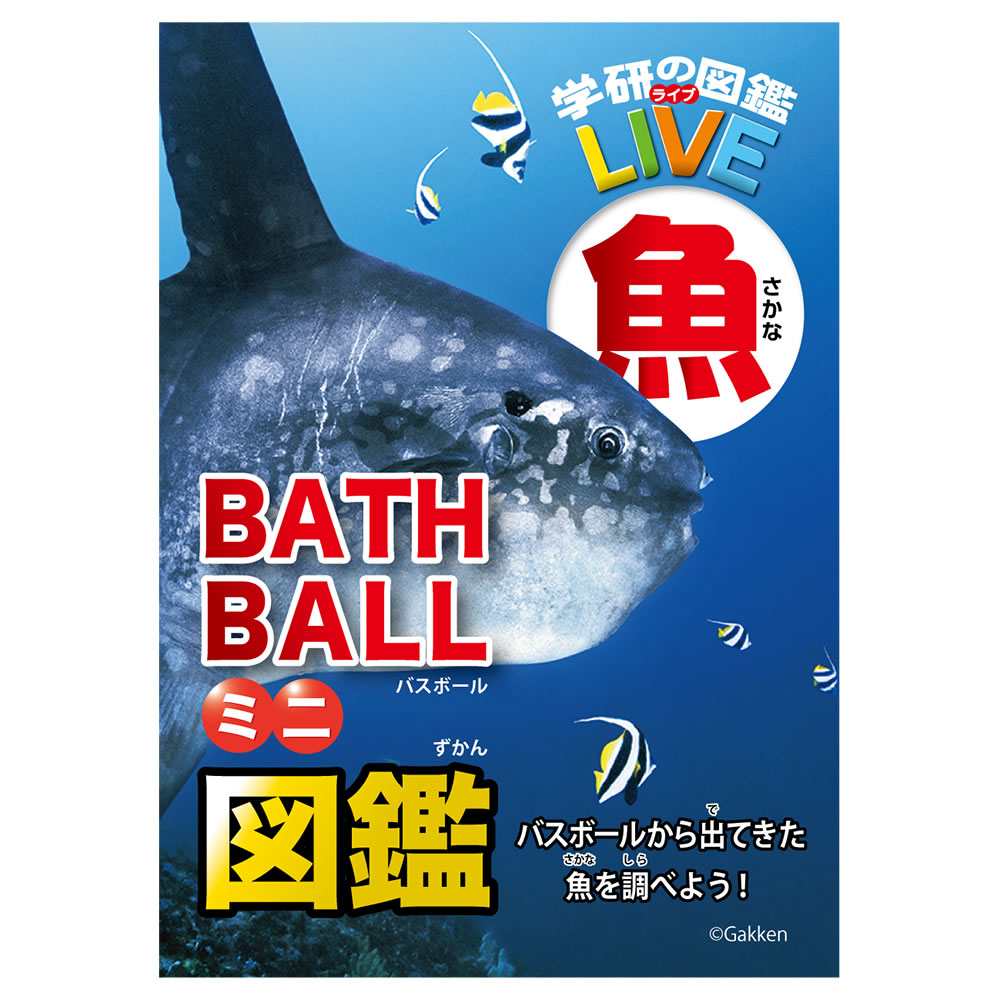 バスボール 学研の図鑑ライブLIVE 魚 美しい海の香り マスコット入り入浴剤 発泡タイプ バスボム おもちゃ バス用品 おふろ バスフィズ リラックス