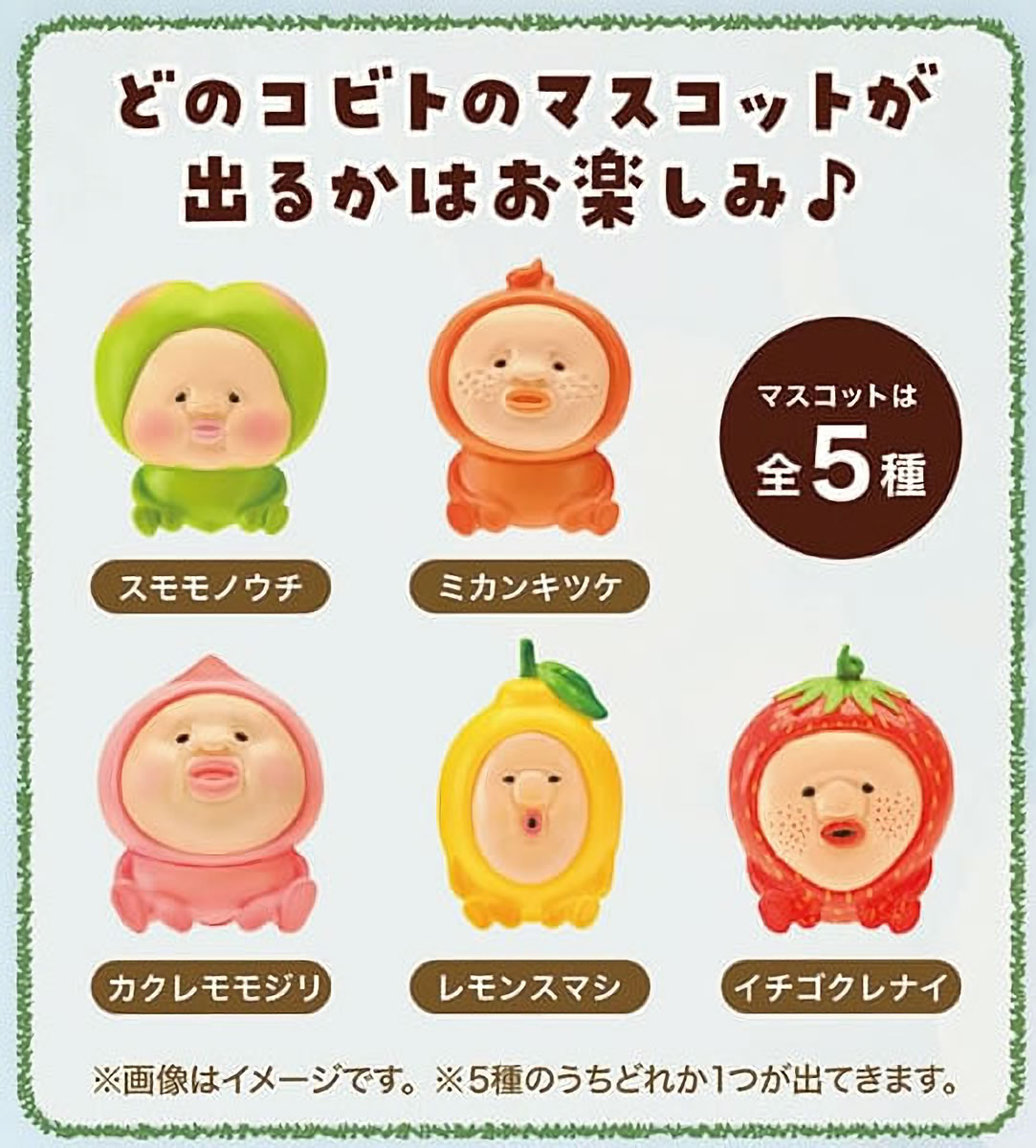 ノルコーポレーション こびとづかん バスボール フルーツバスケット