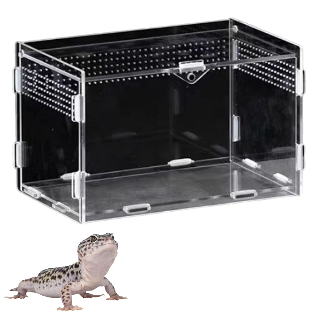 ★爬虫類飼育 水槽セット 飼育ケージ(おまけ付き) Amazon | Raineed 爬虫類 ケージ トカゲ 飼育セット カエル 水槽