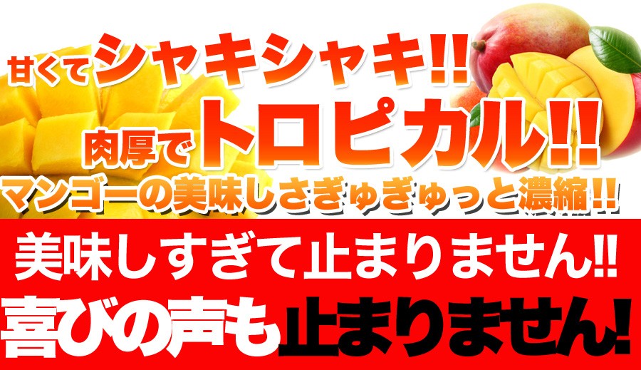 ドライマンゴー