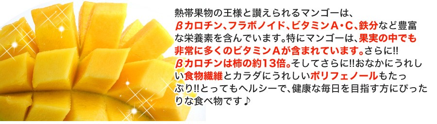 ドライマンゴー