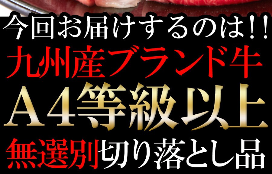 国産霜降り和牛切り落とし訳あり