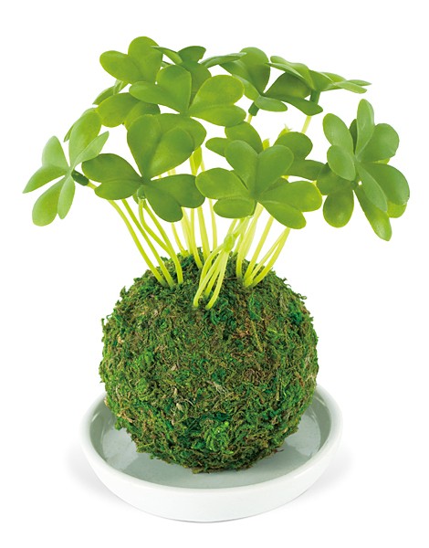 苔盆栽 コケ 苔玉 人工 観葉植物 インテリア リアル 消臭 抗菌 ミニ
