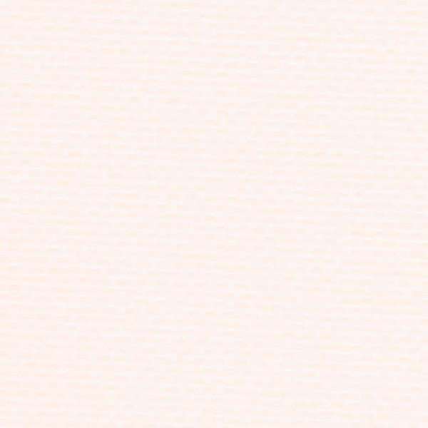 ロールスクリーン オーダー サイズ W136-180×H181-200cm タチカワブラインド グループ 立川機工 防炎 日本製 レストラン 飲食店 オフィス 事務所 賃貸対応｜usagi-shop｜02