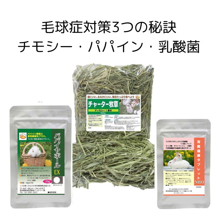 うさぎファンクラブ やわらか牧草800g チモシー2番刈 : うさぎファン