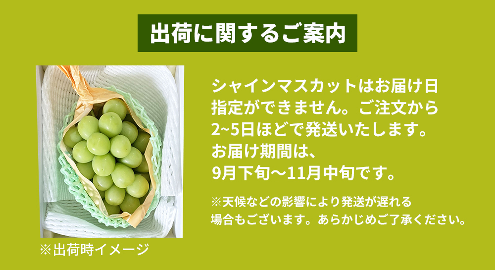 予約販売・9月下旬発送 甘くてパリッ！ シャインマスカット ぶどう