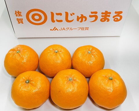 全てが◎な柑橘】にじゅうまる 佐賀県産 約5kg 等級優 約12〜24