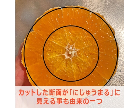 全てが◎な柑橘】にじゅうまる 佐賀県産 約5kg 等級優 約12〜24