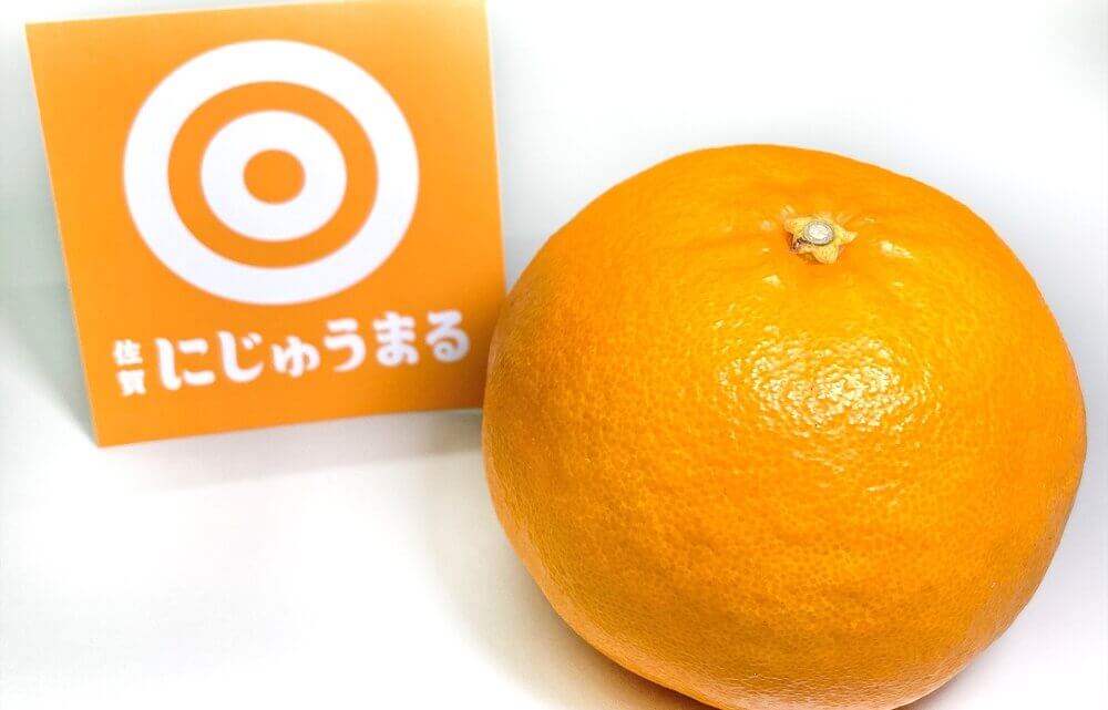 全てが◎な柑橘】にじゅうまる 佐賀県産 約5kg 等級優 約12〜24