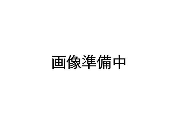 TOSHIBA　東芝用　掃除機　床ブラシ　4145H951　N色　交換部品