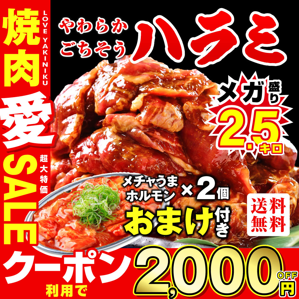 ＼もれなくおまけ付き／牛 牛肉 ハラミ 焼肉 2.5kg（250g×10p）メガ盛り 大容量 やわらかハラミ　オマケ付き