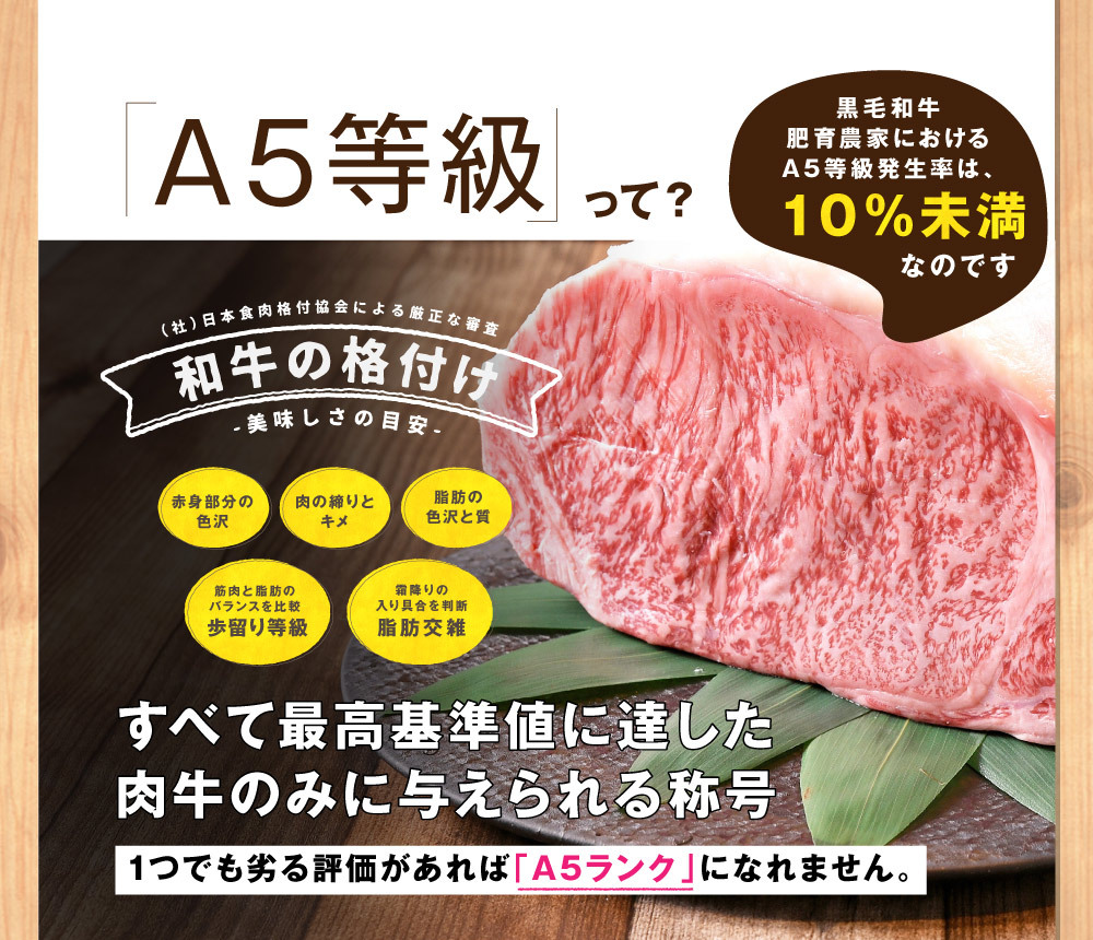 牛肉 黒毛和牛 メンチカツ 600g(100g×6) プレミアム お惣菜 お返し お取り寄せ グルメ 送料無料商品と同梱で送料０円  :menchi-2:精肉問屋 犇 ウシミッツ - 通販 - Yahoo!ショッピング