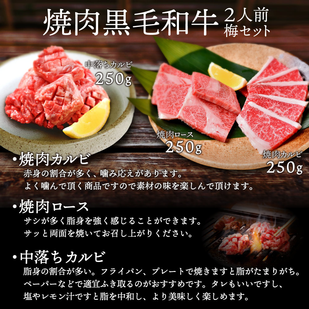 焼肉 牛肉 黒毛和牛 セット2人前 梅 750ｇ A5 等級 福袋 焼肉セット 送料無料 カルビ ロース 中落ちカルビ タレ付き 精肉問屋 犇 ウシミッツ 通販 Paypayモール