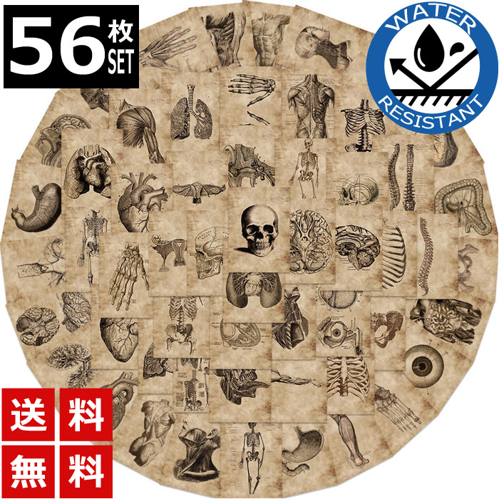 sticker-1252.jpg